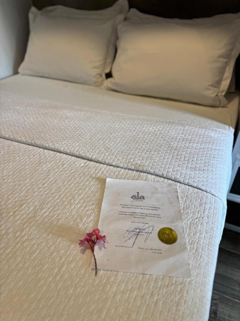 Hotel "Ala Residencias" Четумал Екстериор снимка